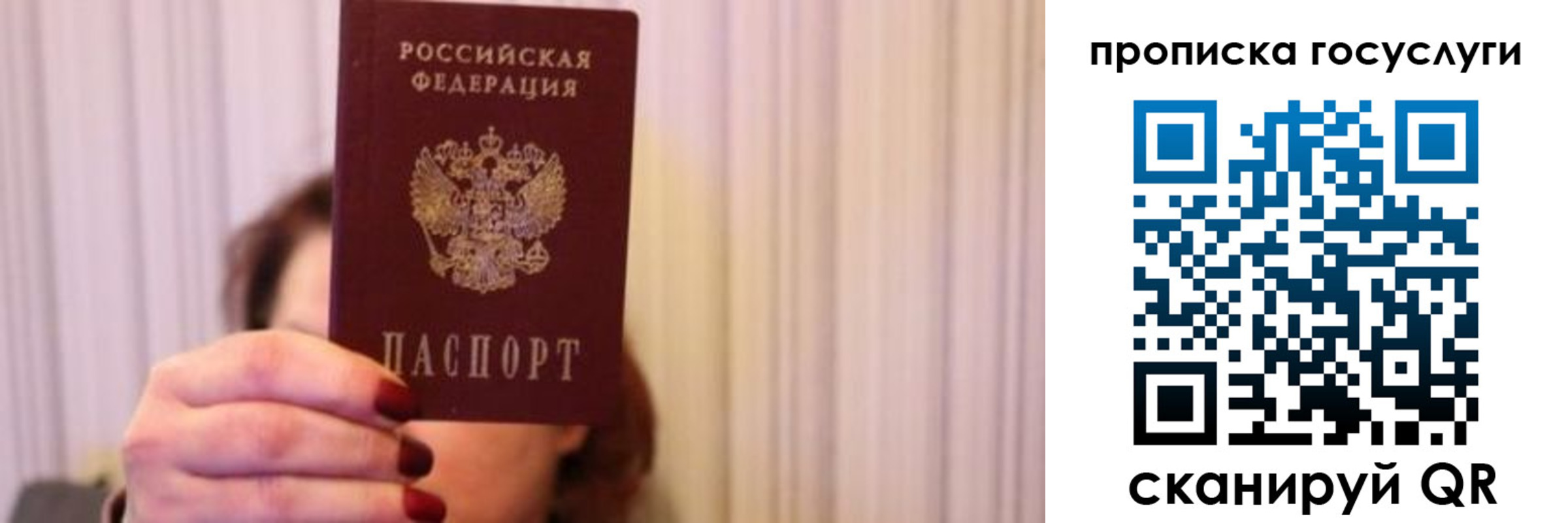 где прописаться в Владимирской области